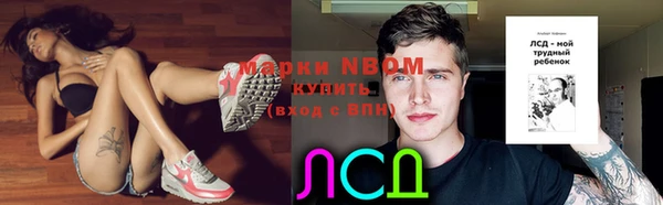 мяу мяу мука Абаза