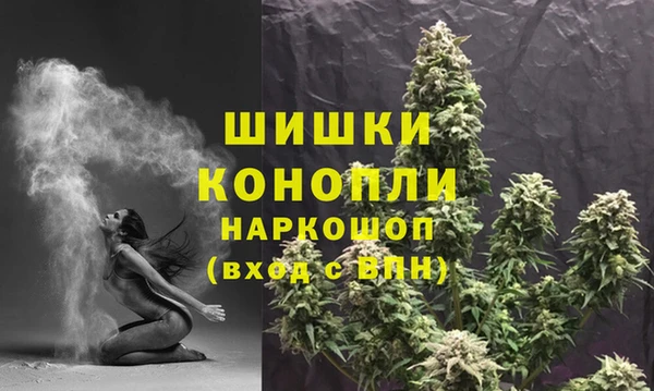 тгк Осинники