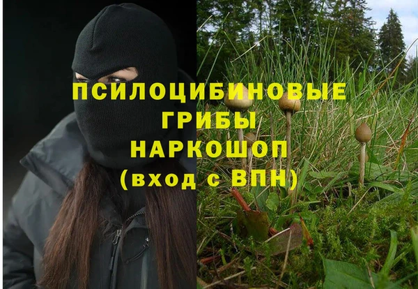 круглые Тавда