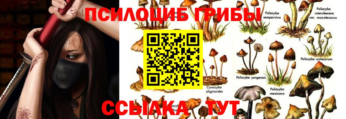 Псилоцибиновые грибы Magic Shrooms Людиново