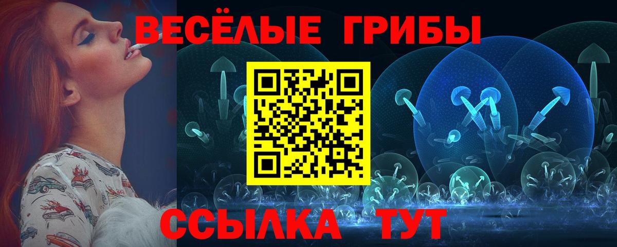 Галлюциногенные грибы прущие грибы  Псилоцибиновые грибы GOLDEN TEACHER  Людиново  Вход с VPN 